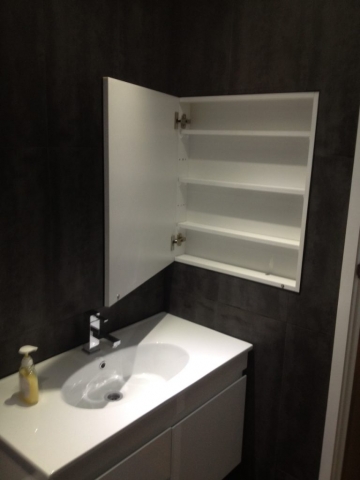 Bathroom Renovation, Upgrade, Vanity, Medicine Cabinet, Mirror